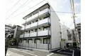 椎の実4