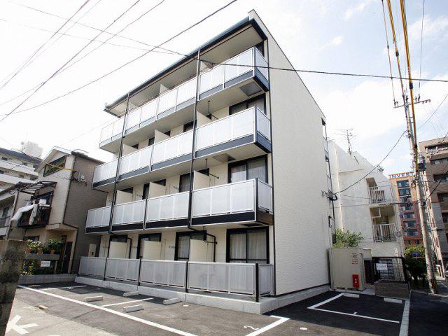 椎の実4