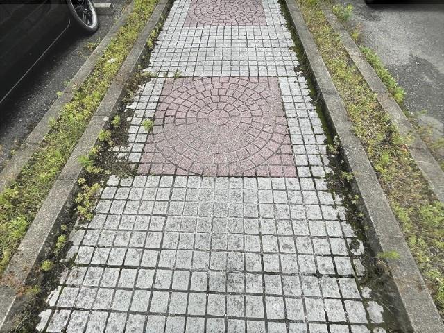 サニーコート観世