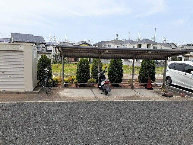 エターナルシーズン