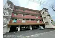 コンフォート ヴィアーノ