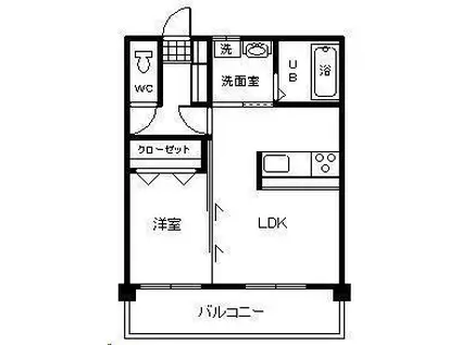 テンダーマンションⅢ(1LDK/5階)の間取り写真