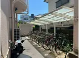 ハイネス江波