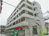 ソフィア福住町