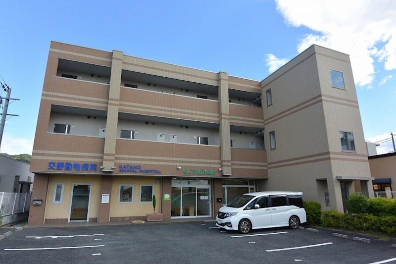 サンメルシー
