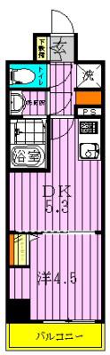 ラフィスタ大師前4(1DK/5階)の間取り写真