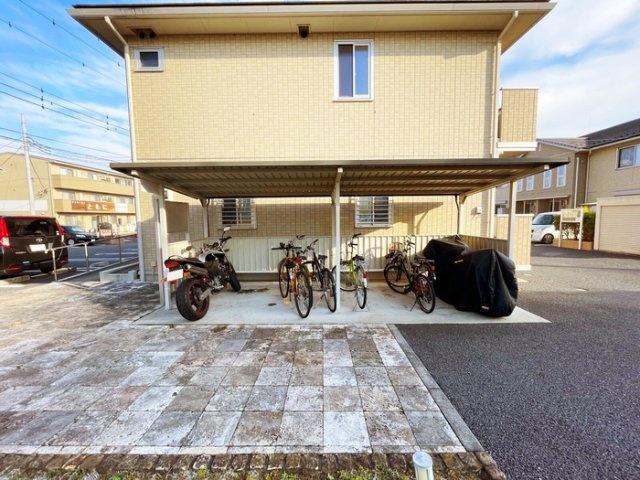 ピーノ・ロングハーモニーA