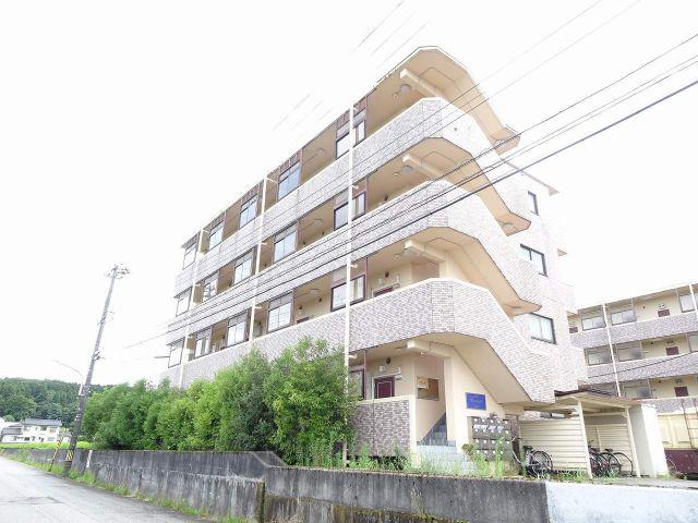 ラピスラズリV