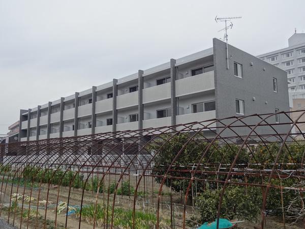 サクラ―レ