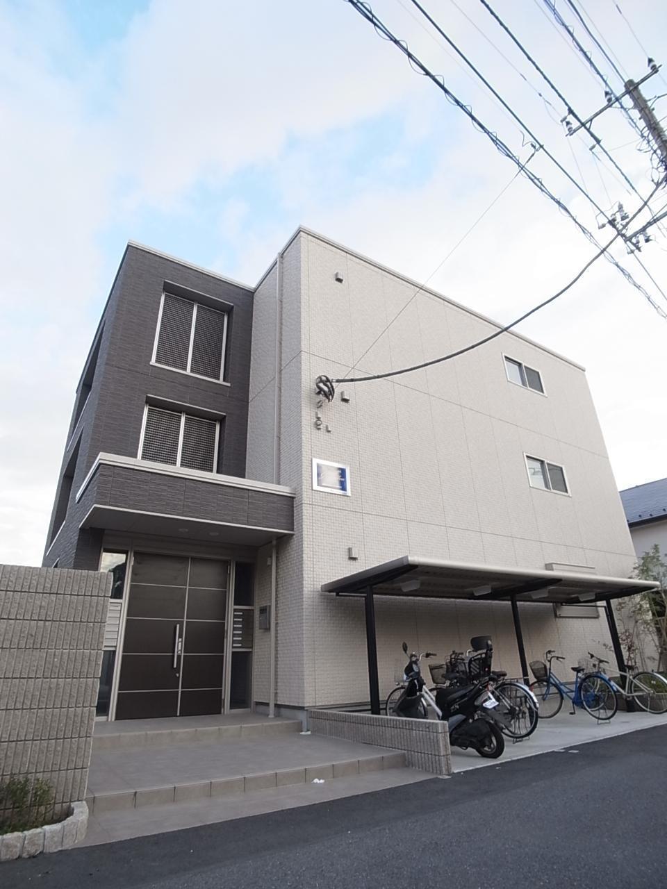 グレビレア