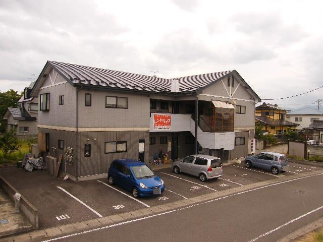 ドルフM
