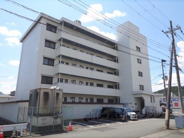 シャルムT・M