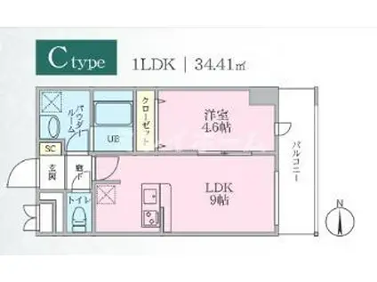 PLUMERIA(1LDK/8階)の間取り写真