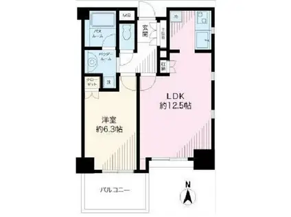 日神デュオステージ新宿中落合(1LDK/9階)の間取り写真