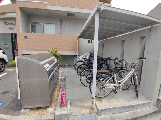 コリドール錦