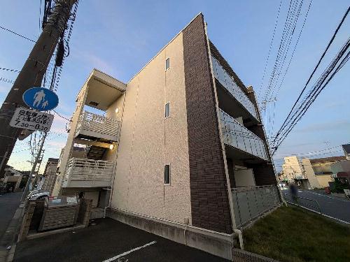 レオネクストラベンダー