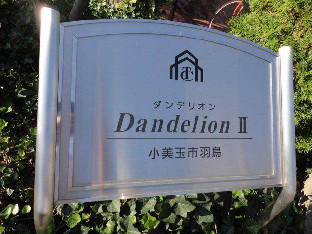 DANDELION II 