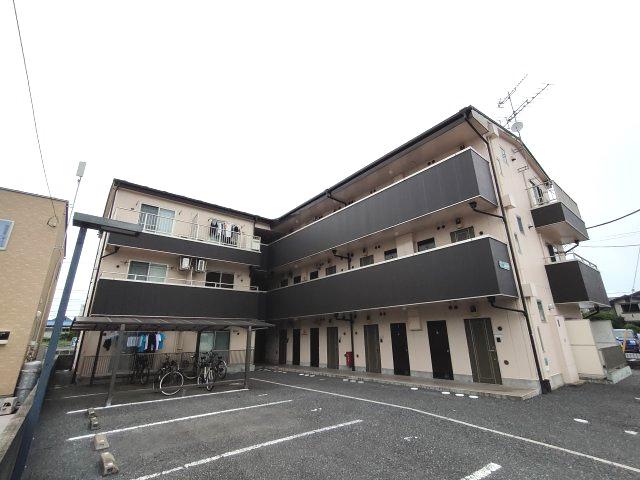 アイリッシュコート