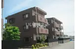テージス