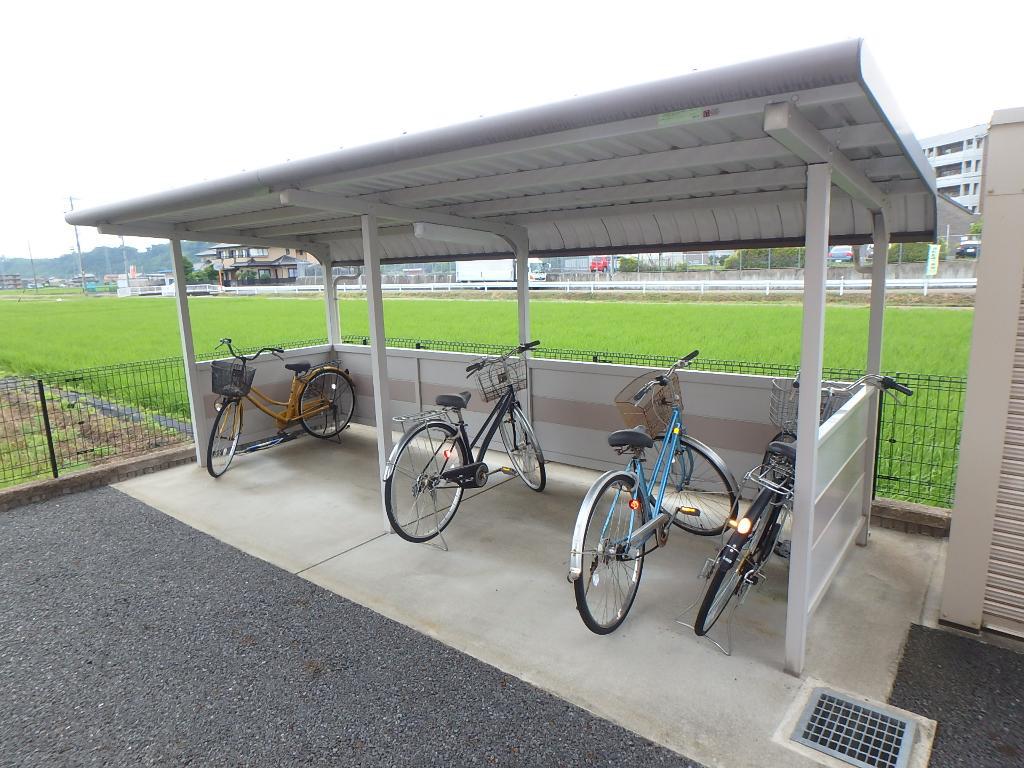 パラティーノ