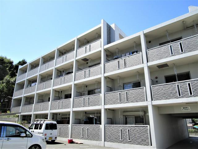 ベルテックス