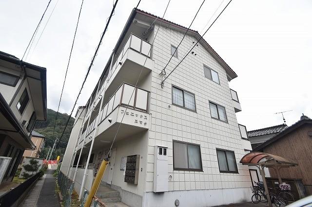 フェニックスヌマタ