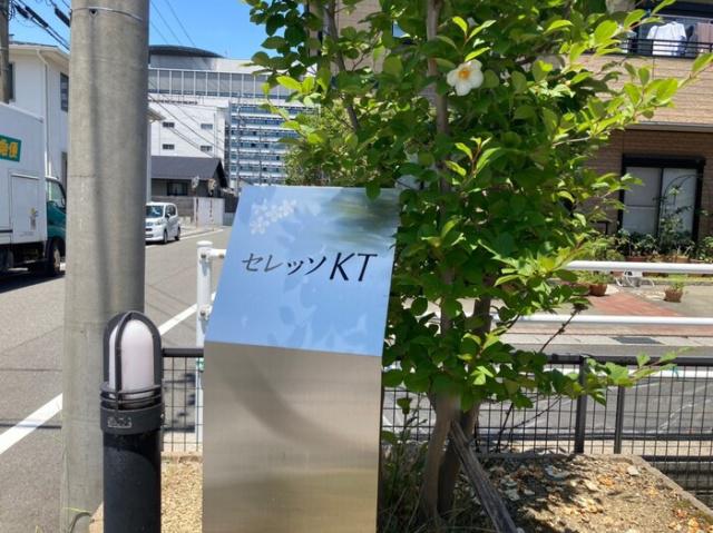 セレッソKTA