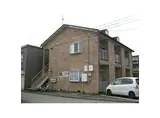 オリーブ
