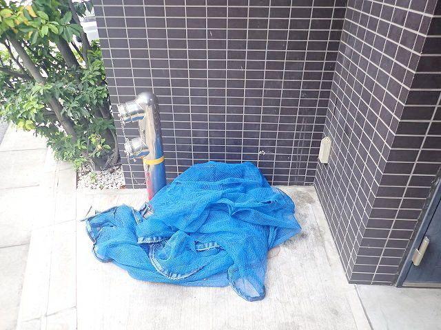 アジールコート中幸