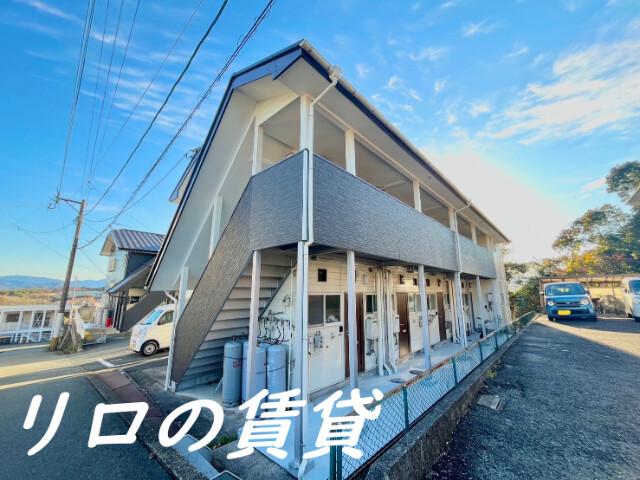 サクセスホワイト