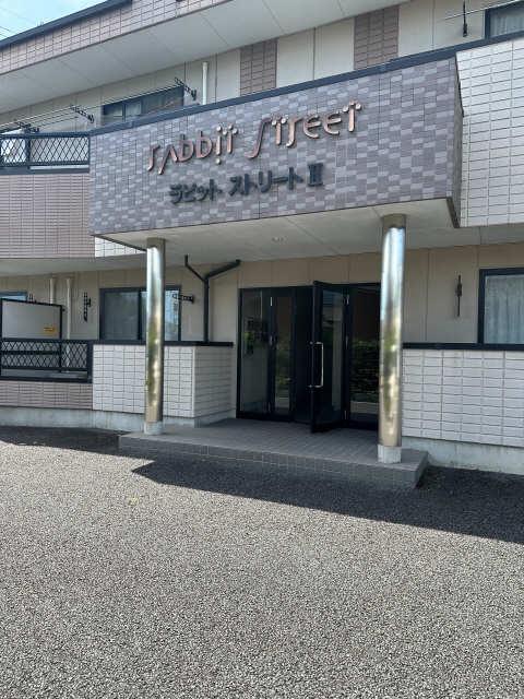 ラビットストリートII