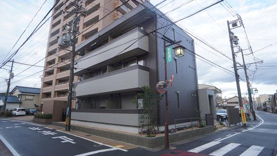 YOUR MAISON CAMELLIA