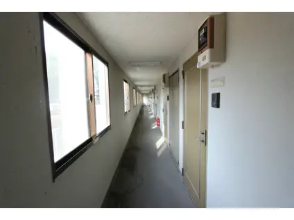 ビバリーヒルズ並木(1K/2階)の外観写真