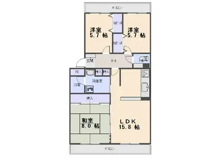 コレクション星ヶ丘(3LDK/2階)の間取り写真