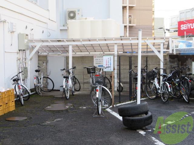 第三ショーケービル