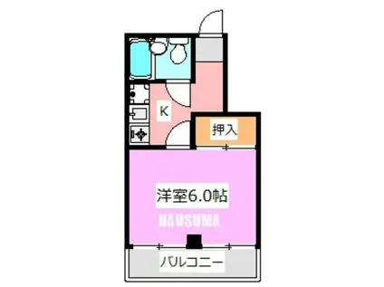 ティジュビロ(1K/4階)の間取り写真