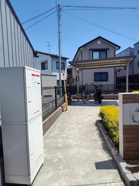 アムール エナ