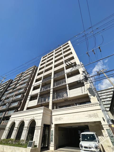 PHOENIX CLOVE TOMOI