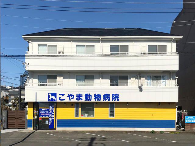 マ・メゾン3