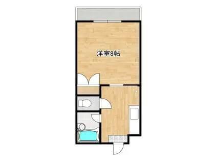 カサ・デ・エストレジャ(1K/1階)の間取り写真