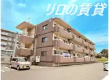 サクラミレ川津