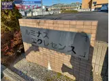 ルミナスエクレセンス