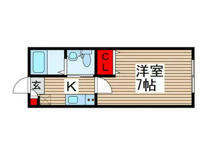 プラネアドール柏(1K/1階)の間取り写真