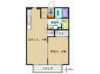 ブエナアビテートI(1LDK/1階)の間取り写真