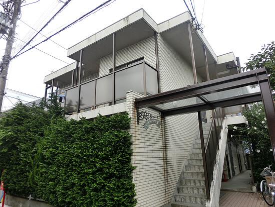 シオン杉並