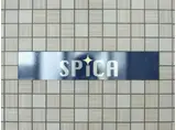 SPICA