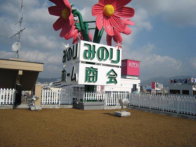 NO.15みのりこすもす