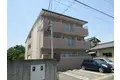 エーデルワイス