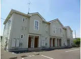 アカシア 