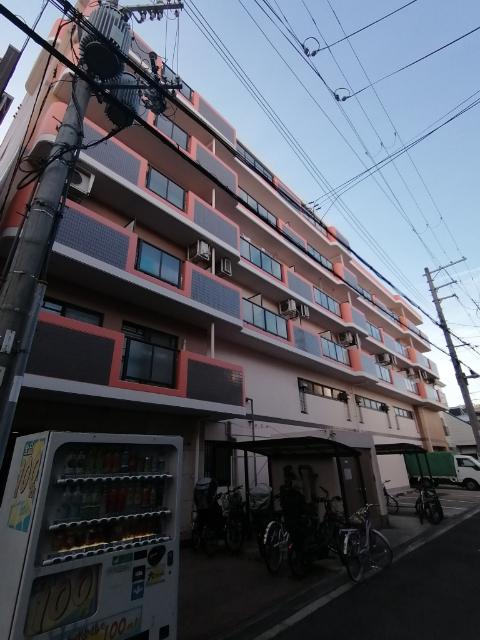 ボヌールリーブT